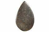 Stony Chondrite Cabochon ( g) - Meteorite #238212-1